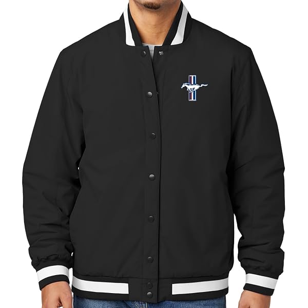 Amazon.com: David Carey Originals Officially Licensed Ford Logo